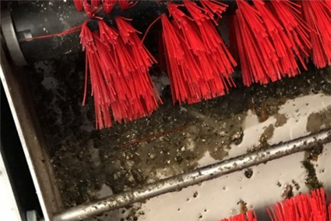 如何清潔衛生消毒門？