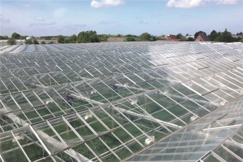 如何徹底清除溫室遮陽劑？