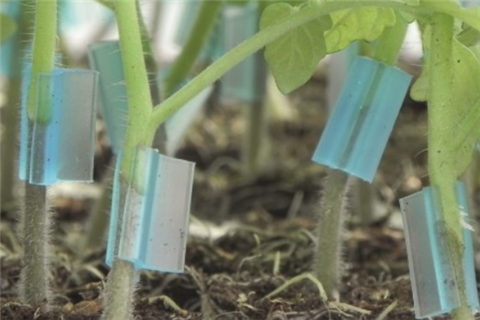 如何選擇合適的嫁接夾?