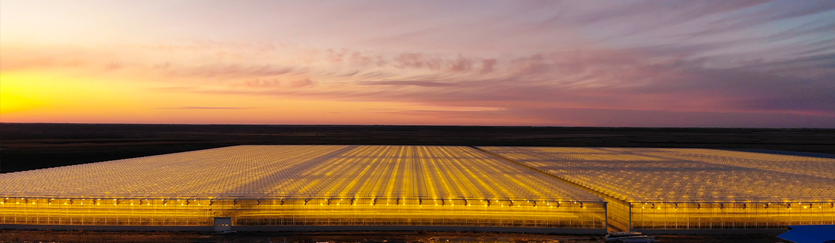 宏福農業 -大慶-12.5公頃 震撼來襲！